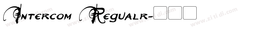 Intercom Regualr字体转换